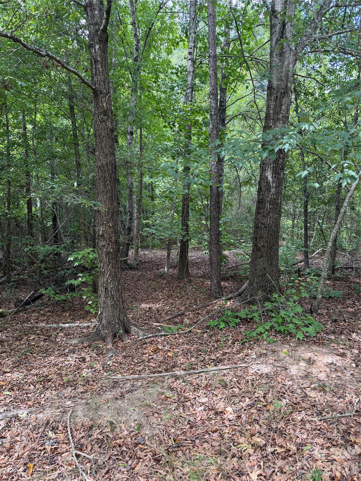 TBD Sam Walker Rd, Catawba, SC 29704