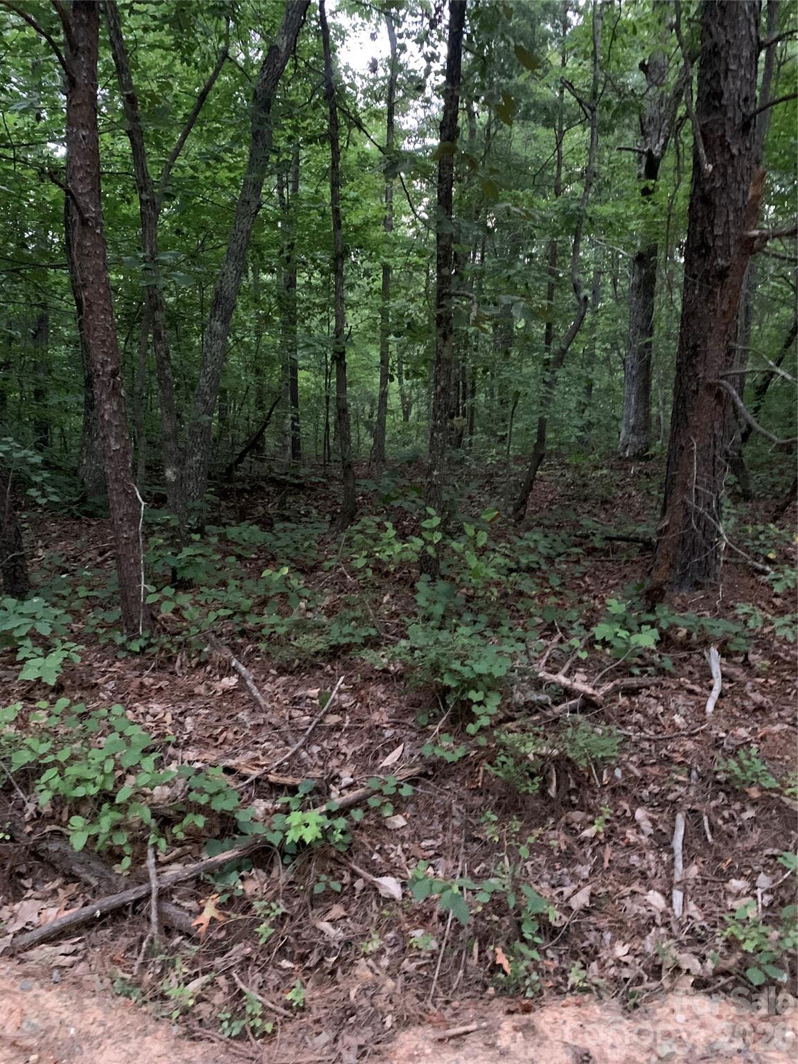 0 Ore Bank Rd, Smyrna, SC 29743