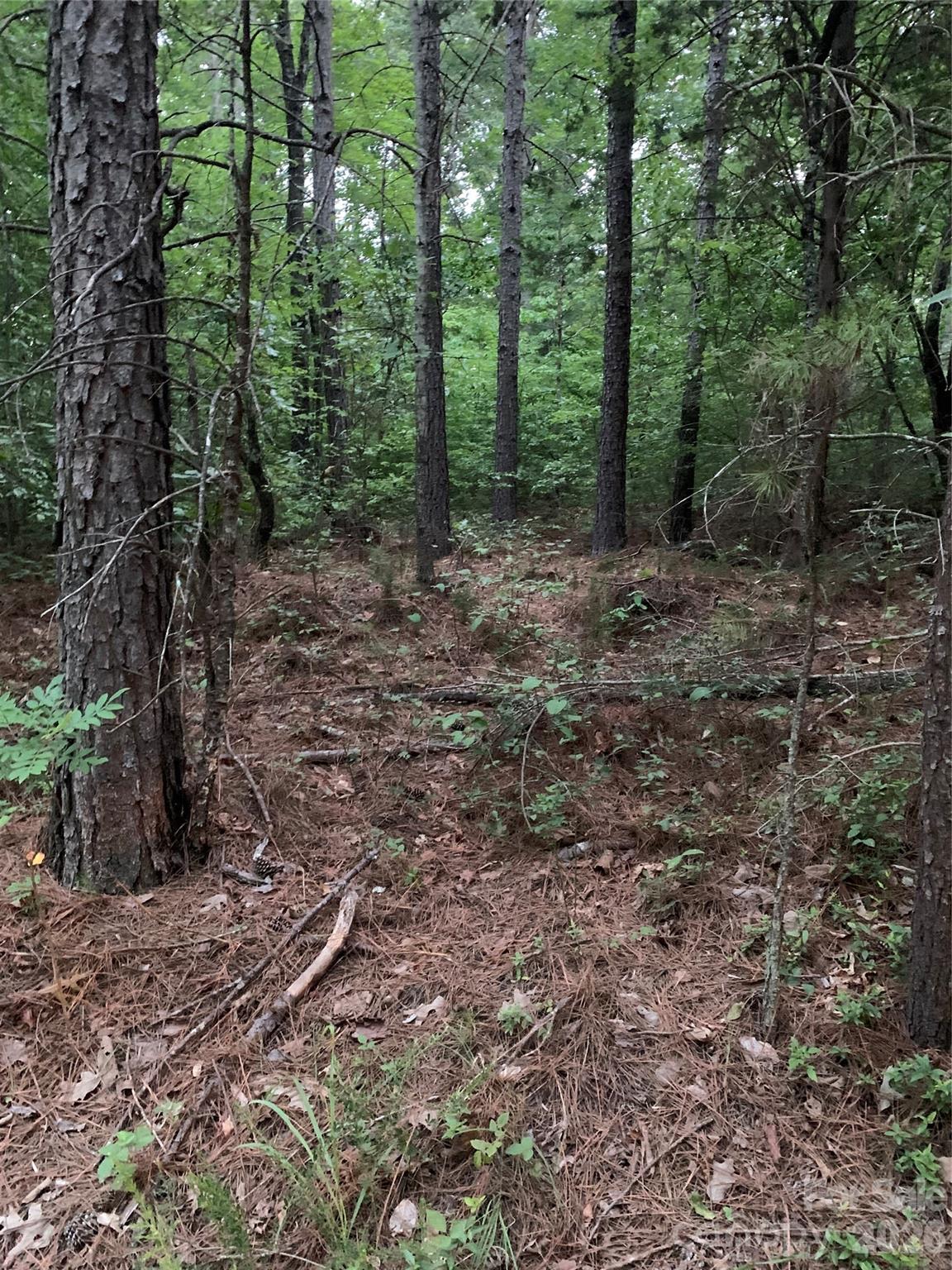 0 Ore Bank Rd, Smyrna, SC 29743