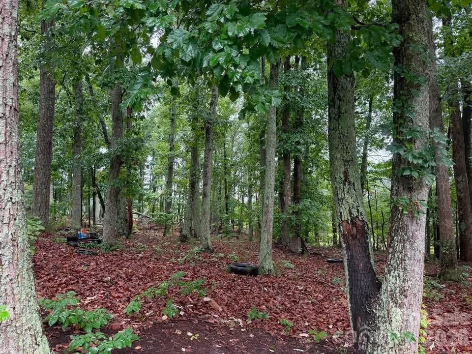1132 S Rutherford St, Blacksburg, SC 29702