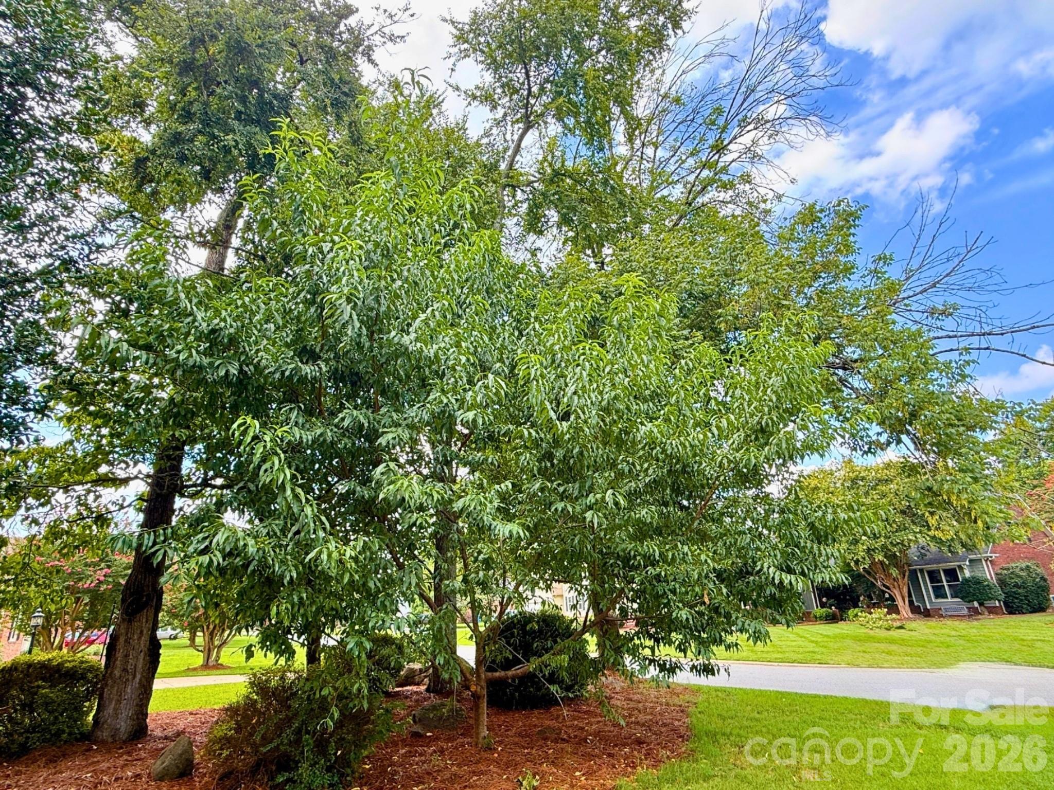 8601 Middleton Cir, Harrisburg, NC 28075