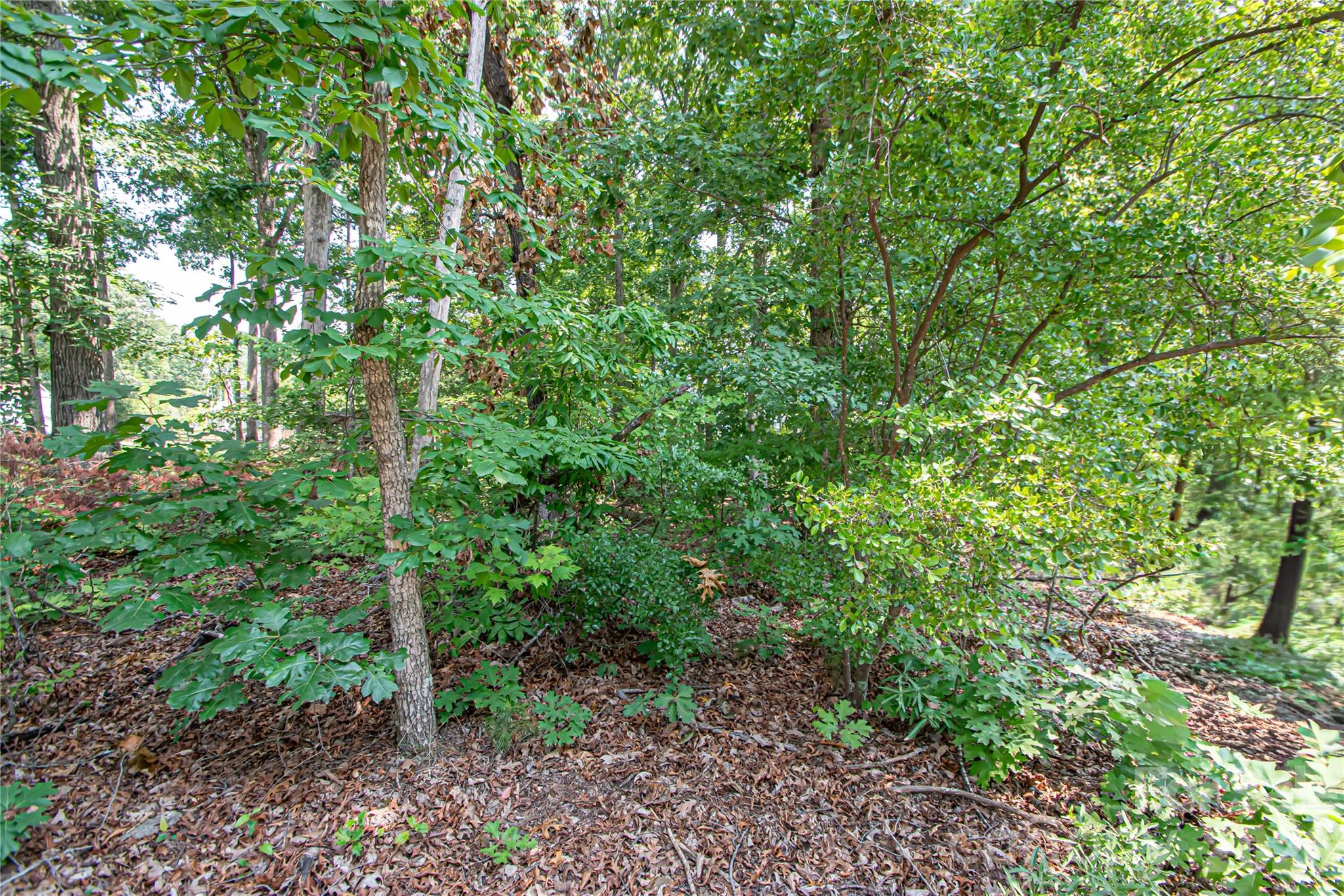 0 Sarah Dr #119, Denver, NC 28037