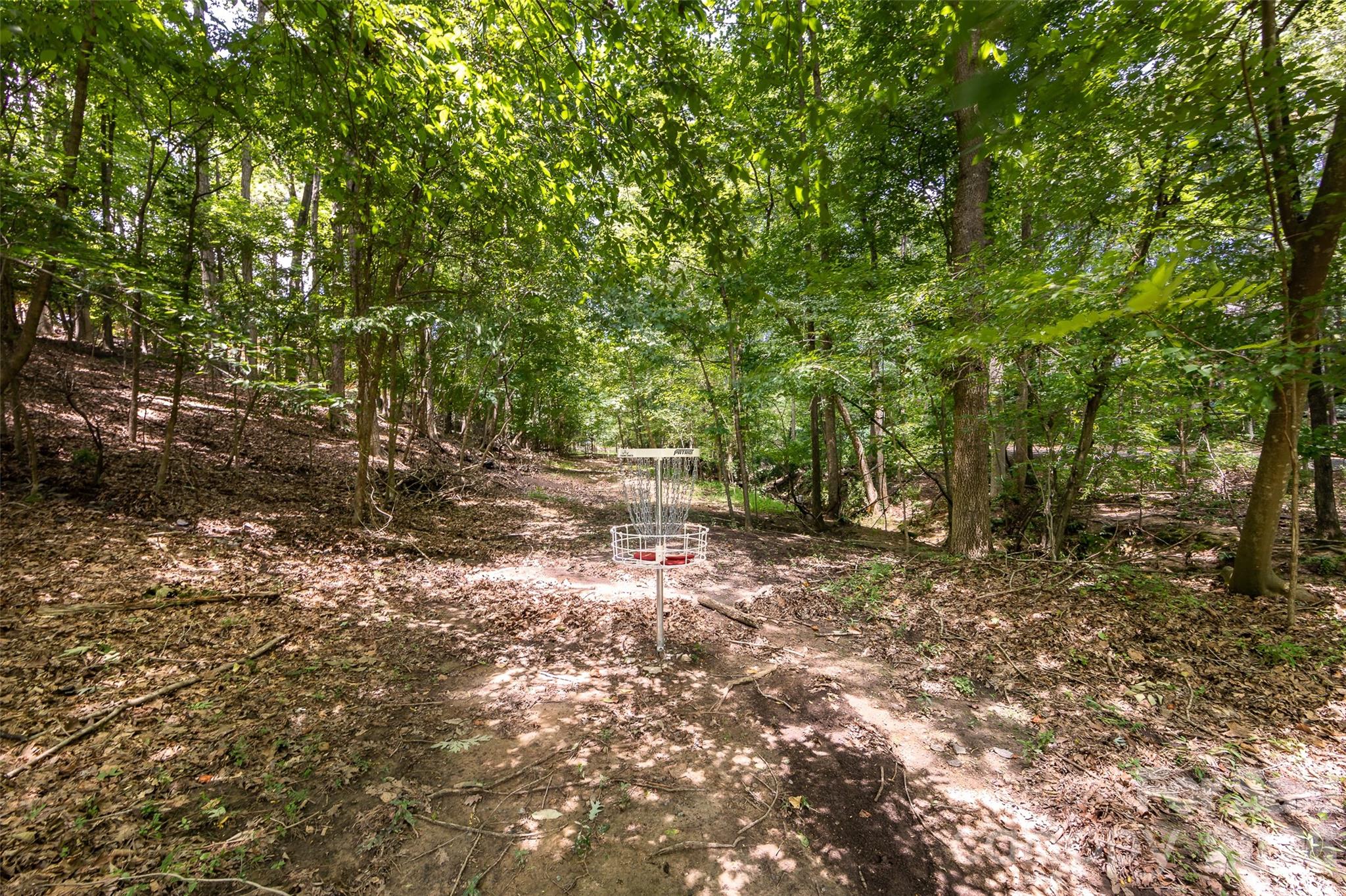 201 Wainsley Pl, Matthews, NC 28105