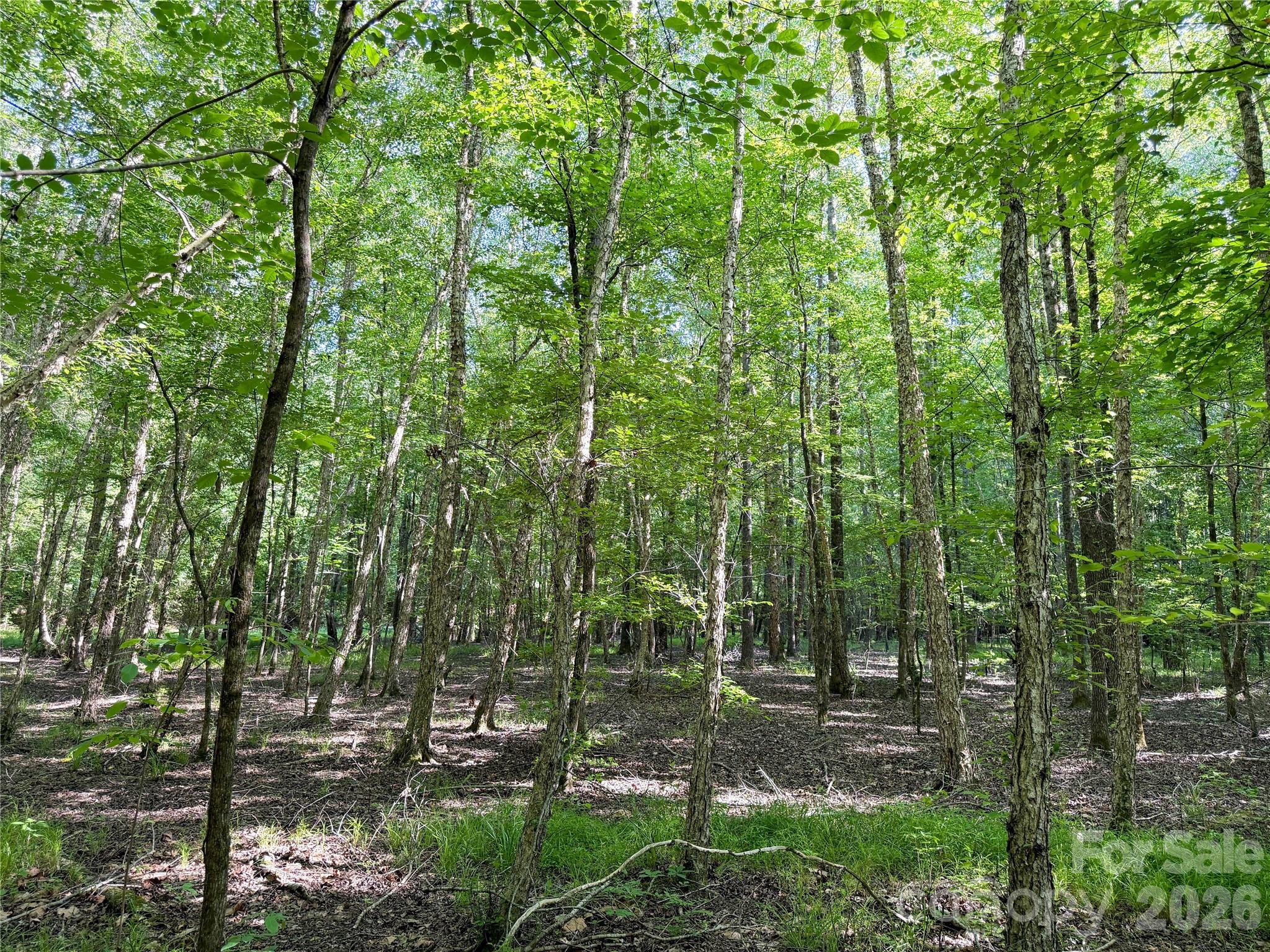 6244 Oakridge Rd, Lake Wylie, SC 29710