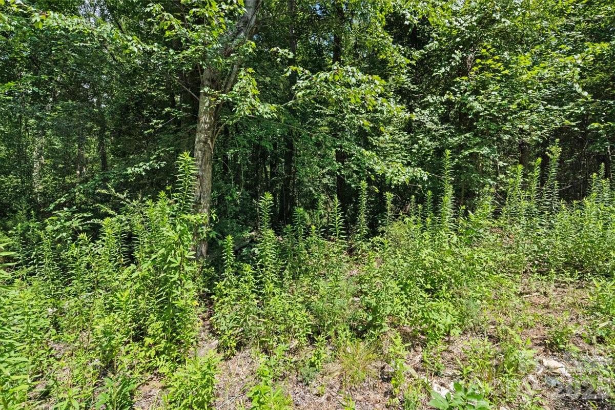 3423 Barr Rd, Concord, NC 28027