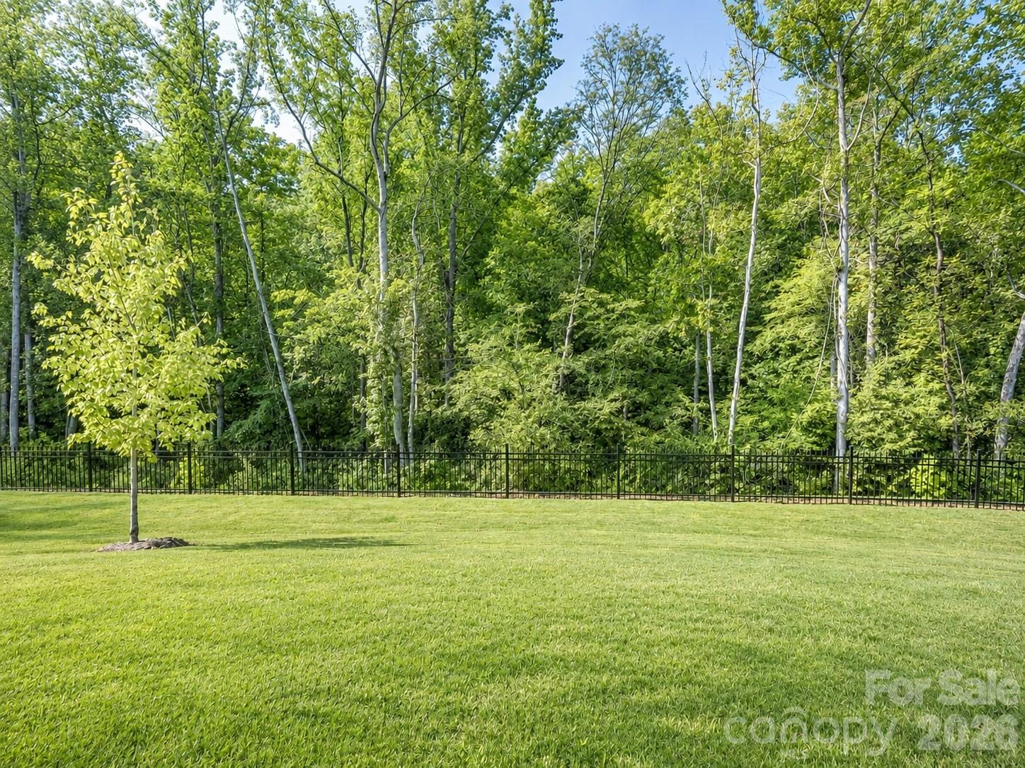 3626 Walter Nelson Rd, Charlotte, NC 28227