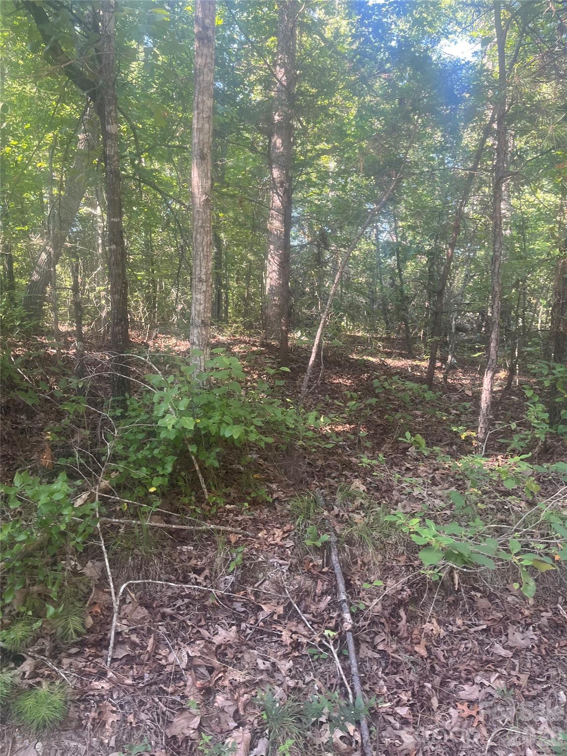 0 Ore Bank Rd #4, Smyrna, SC 29743