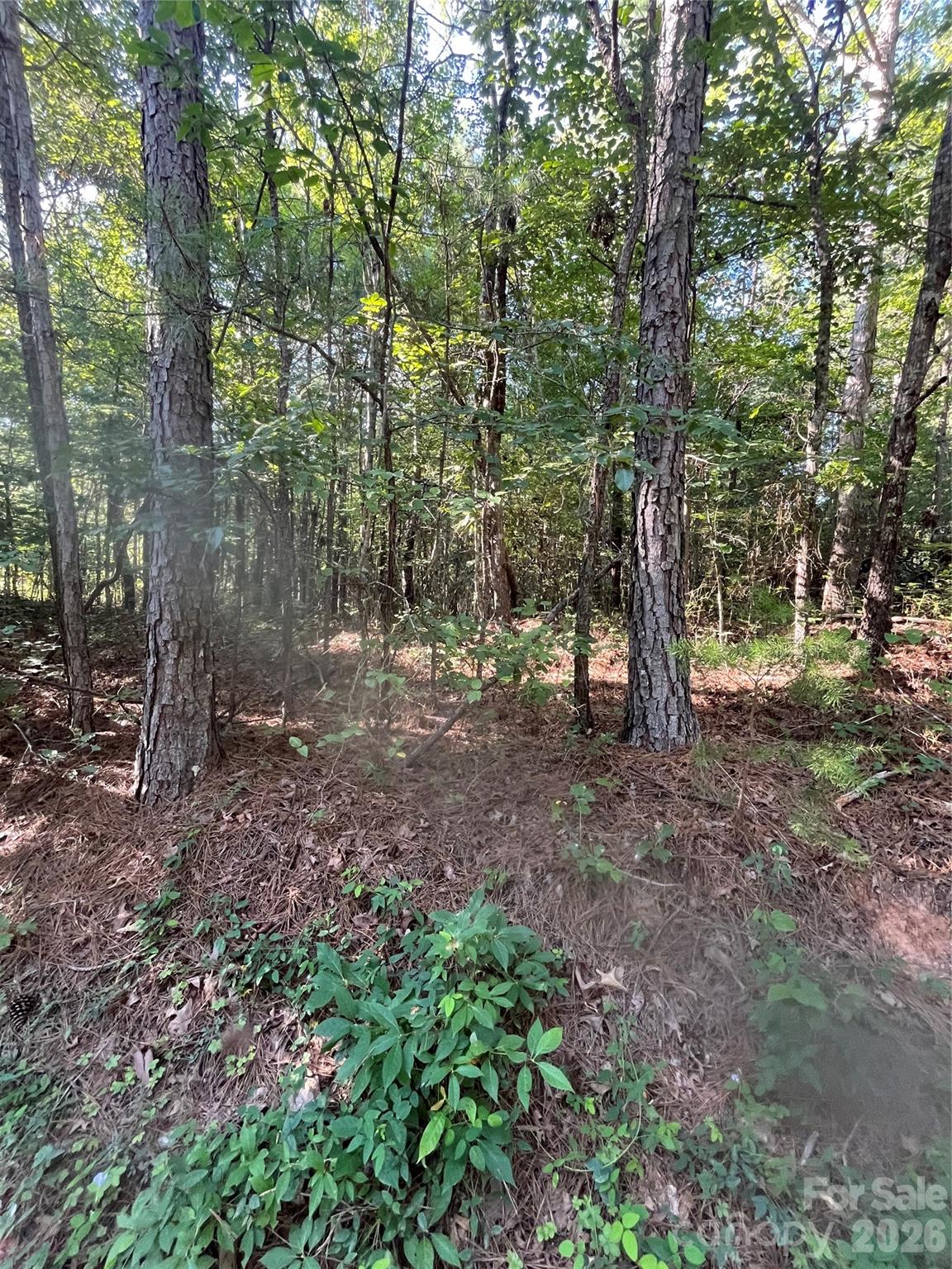 0 Ore Bank Rd #4, Smyrna, SC 29743