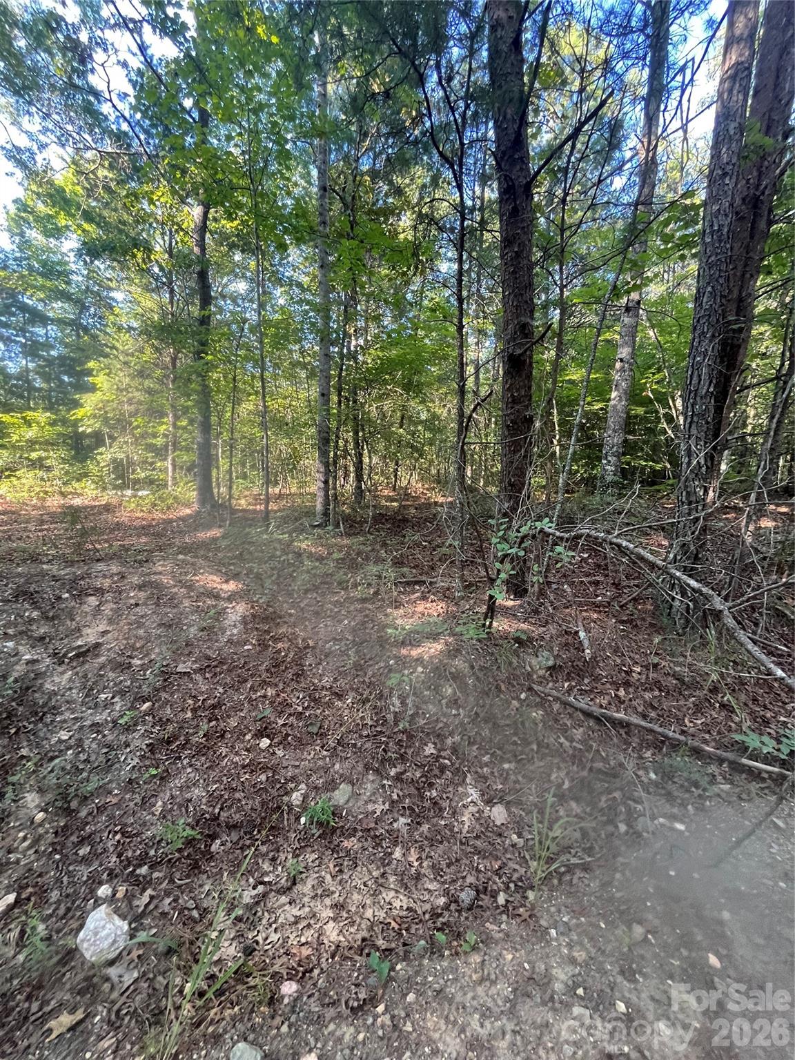 0 Ore Bank Rd #4, Smyrna, SC 29743