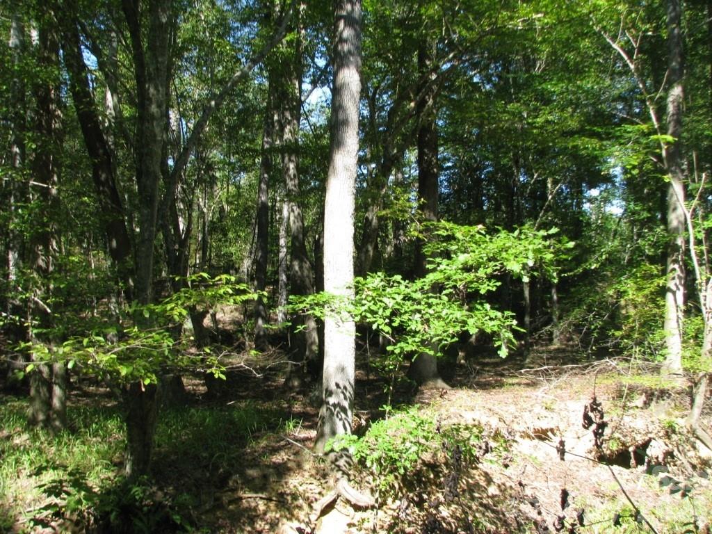 25 Ac Brandon Rd, Clover, SC 29710