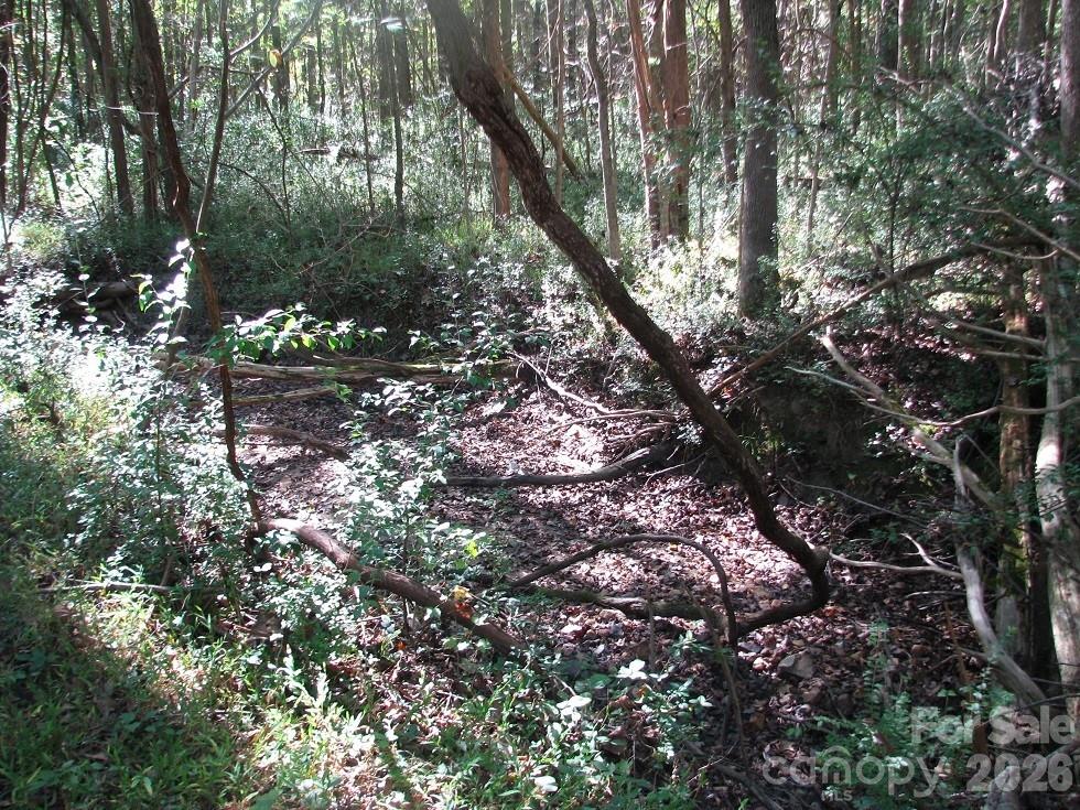 25 Ac Brandon Rd, Clover, SC 29710