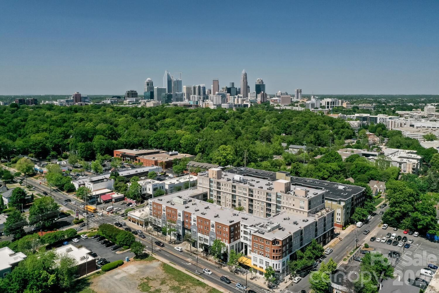 1320 Fillmore Ave #305, Charlotte, NC 28203