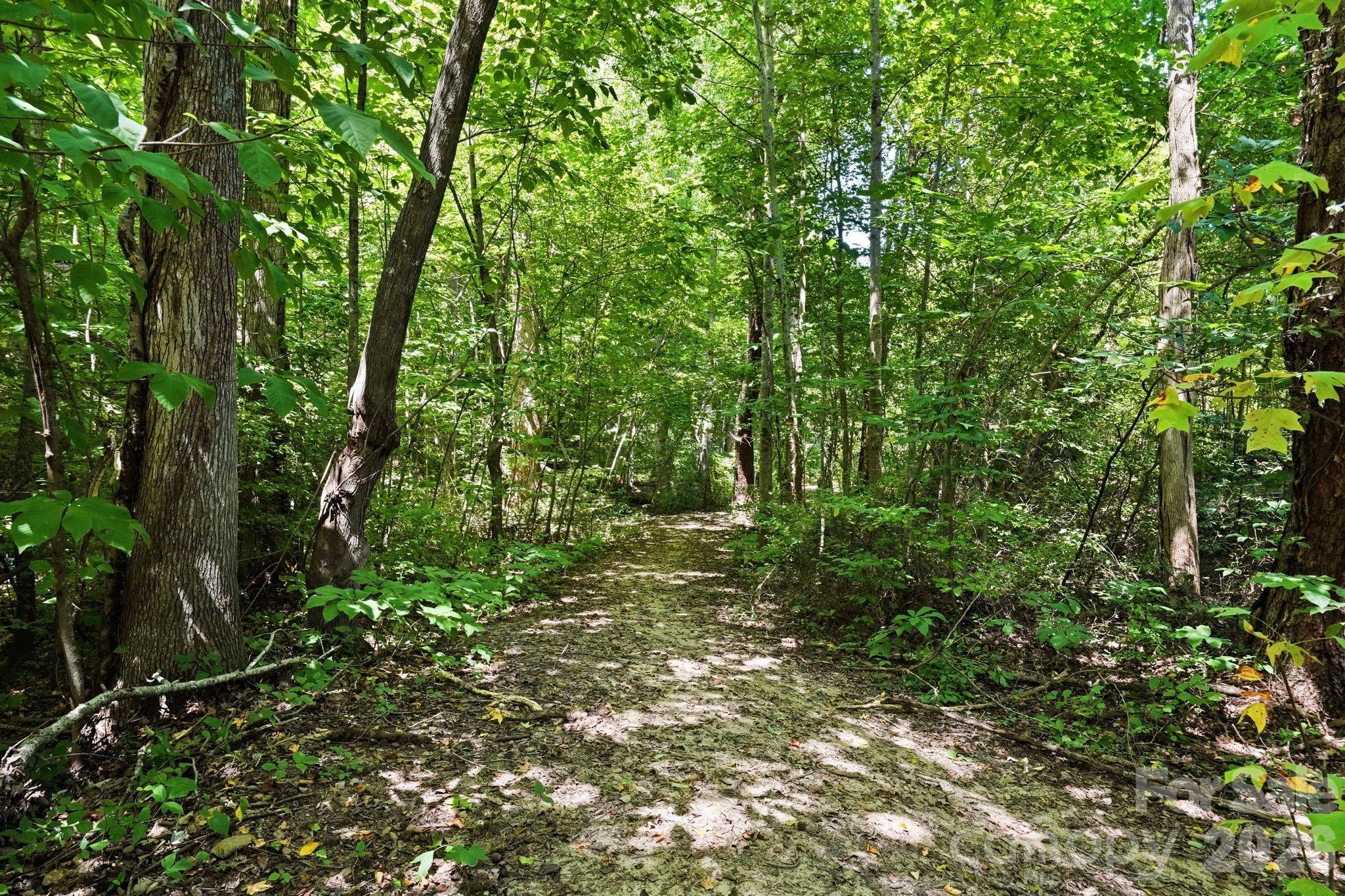 16705 Summers Walk Blvd, Davidson, NC 28036