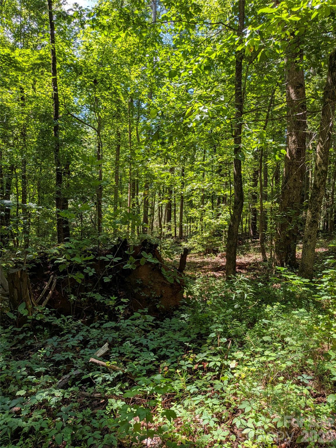 0 Freedom Mill Rd #9, Gastonia, NC 28052