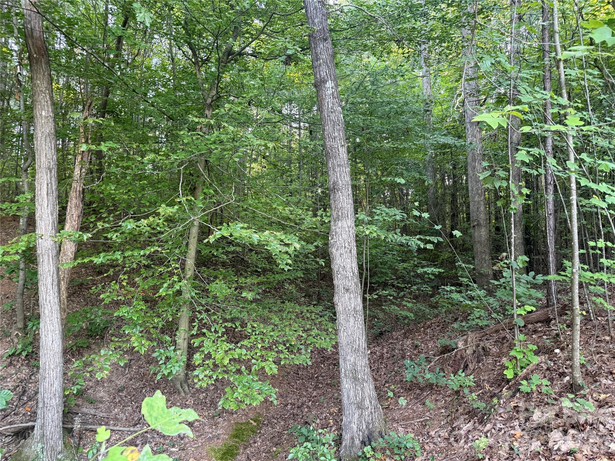 10300 Fink Rd #1, Mount Pleasant, NC 28124