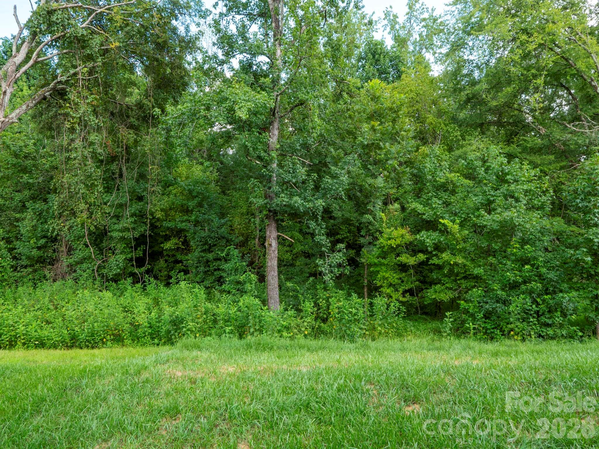 7203 Stoney Wood Ln, Charlotte, NC 28215