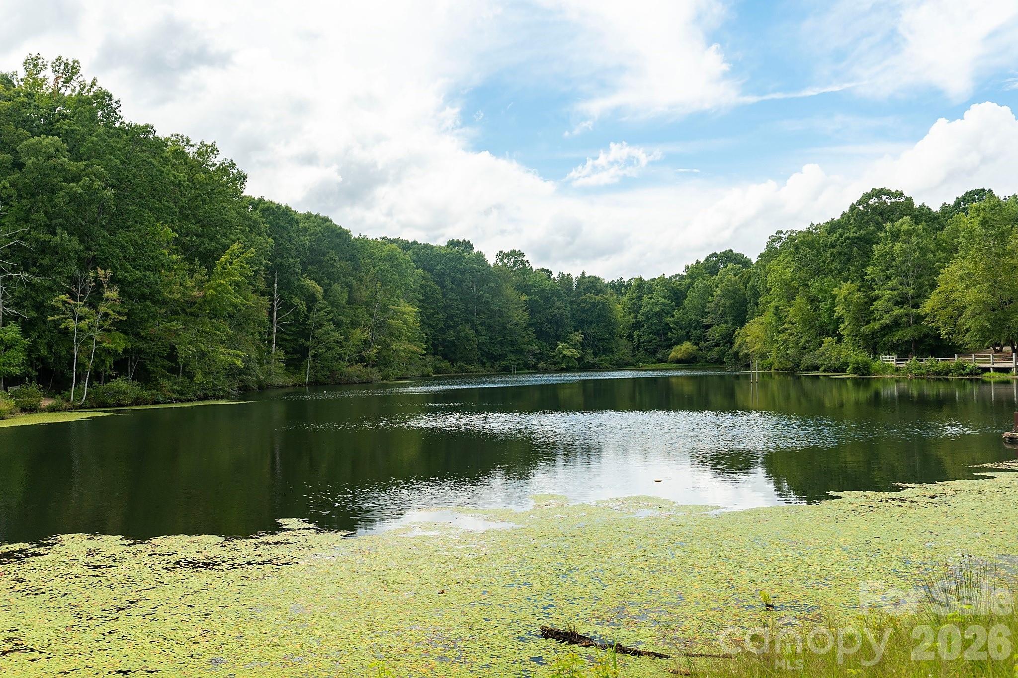 14103 Belmont Greene Dr, Charlotte, NC 28213