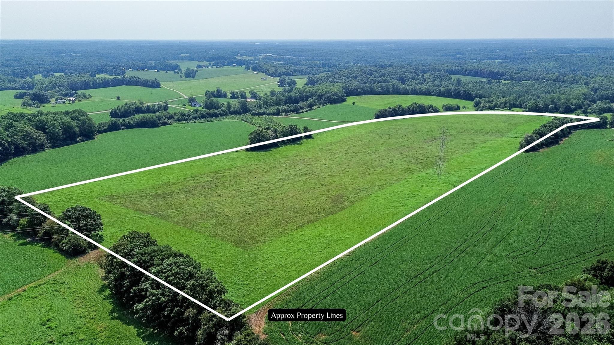 40ac Amble Rd, Olin, NC 28660