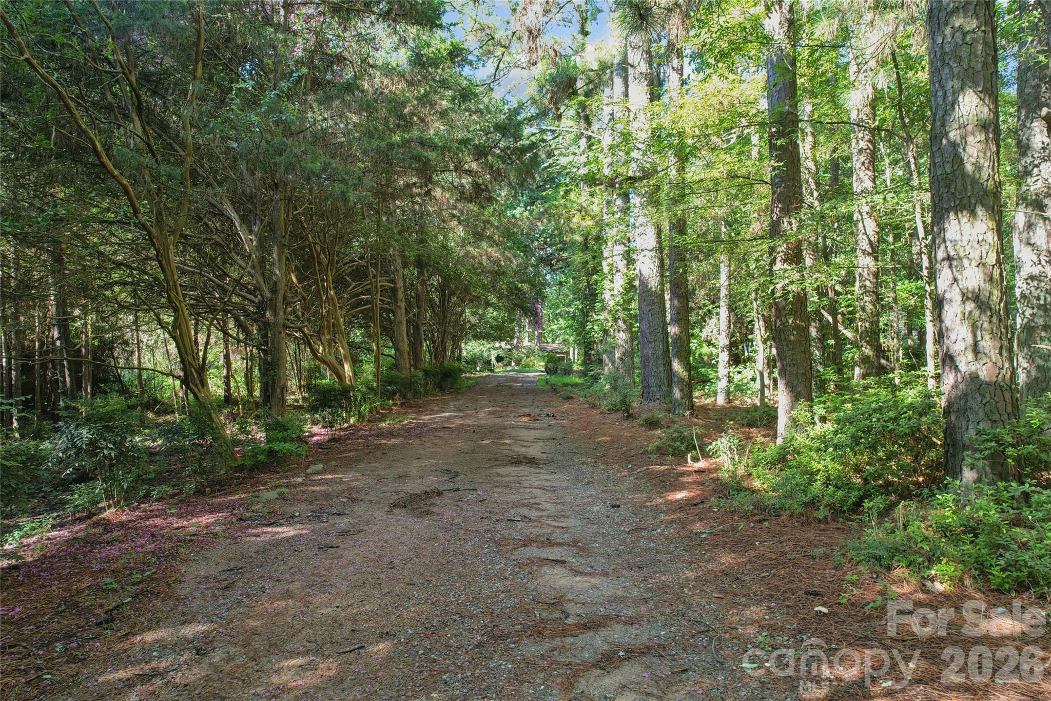 10505 Earnhardt Lake Rd, Davidson, NC 28036