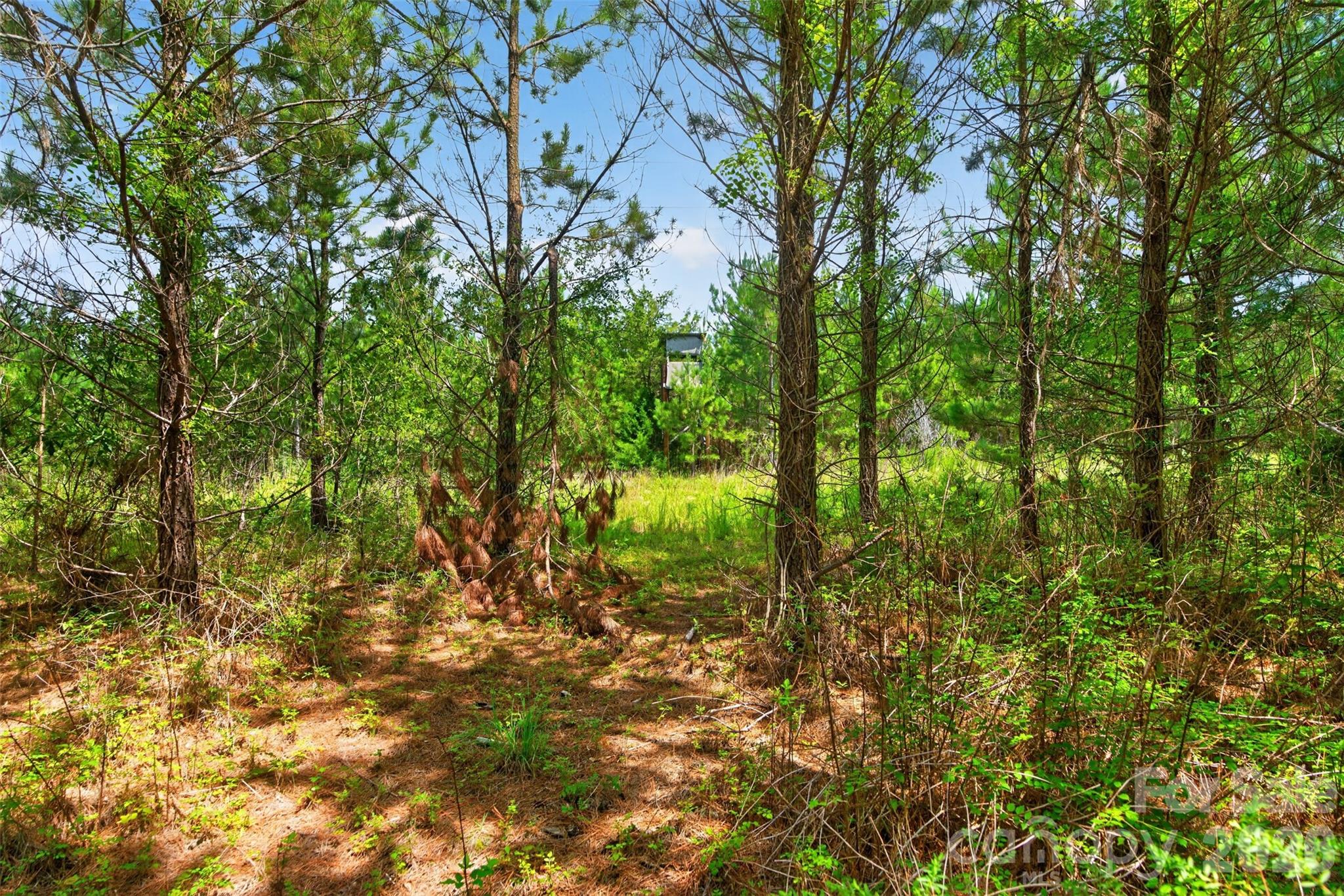0000 Westbrook Rd #5, Edgemoor, SC 29712