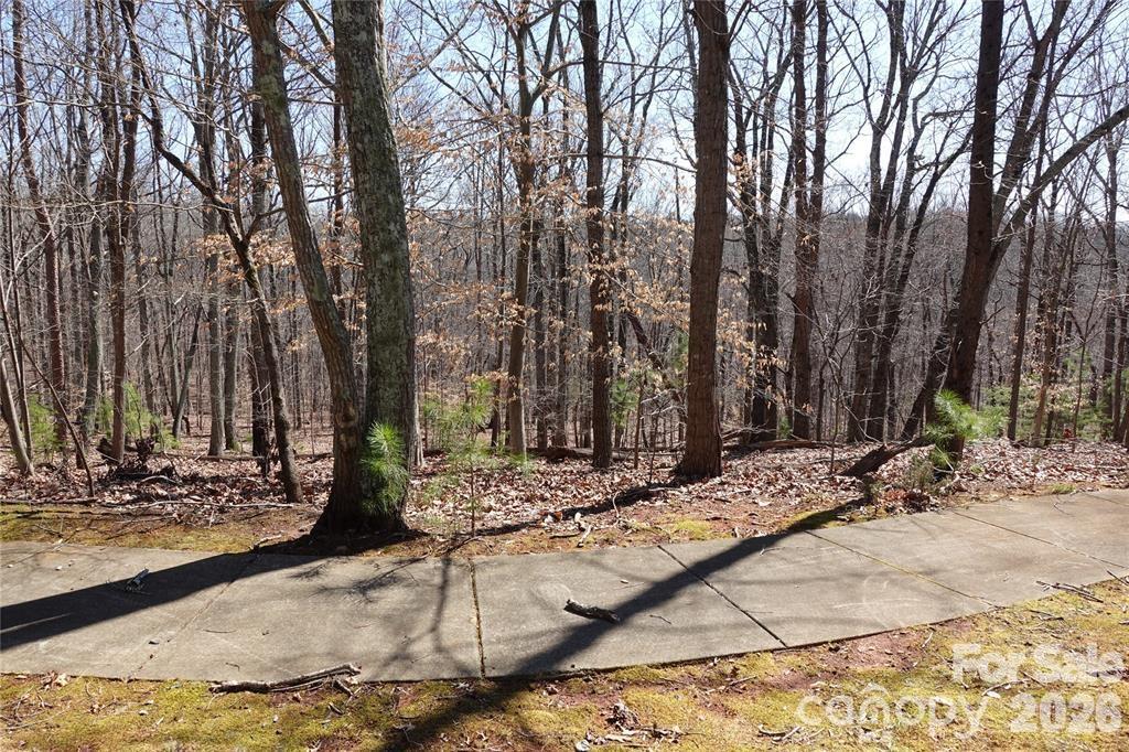 14427 Roe Buck Meadow Ln, Charlotte, NC 28278