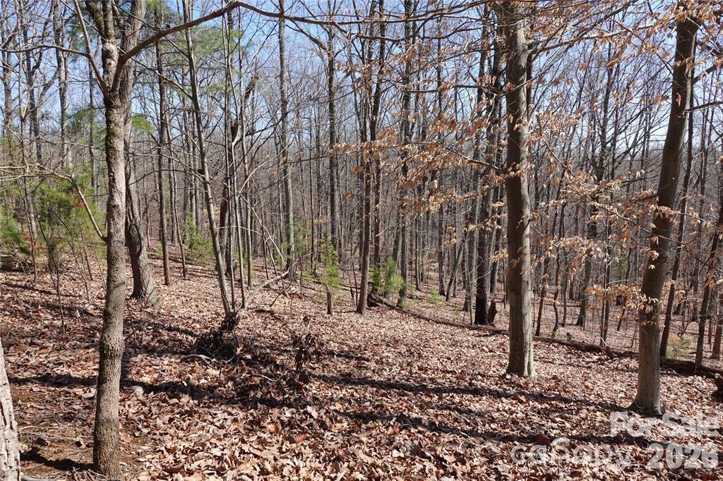 14427 Roe Buck Meadow Ln, Charlotte, NC 28278