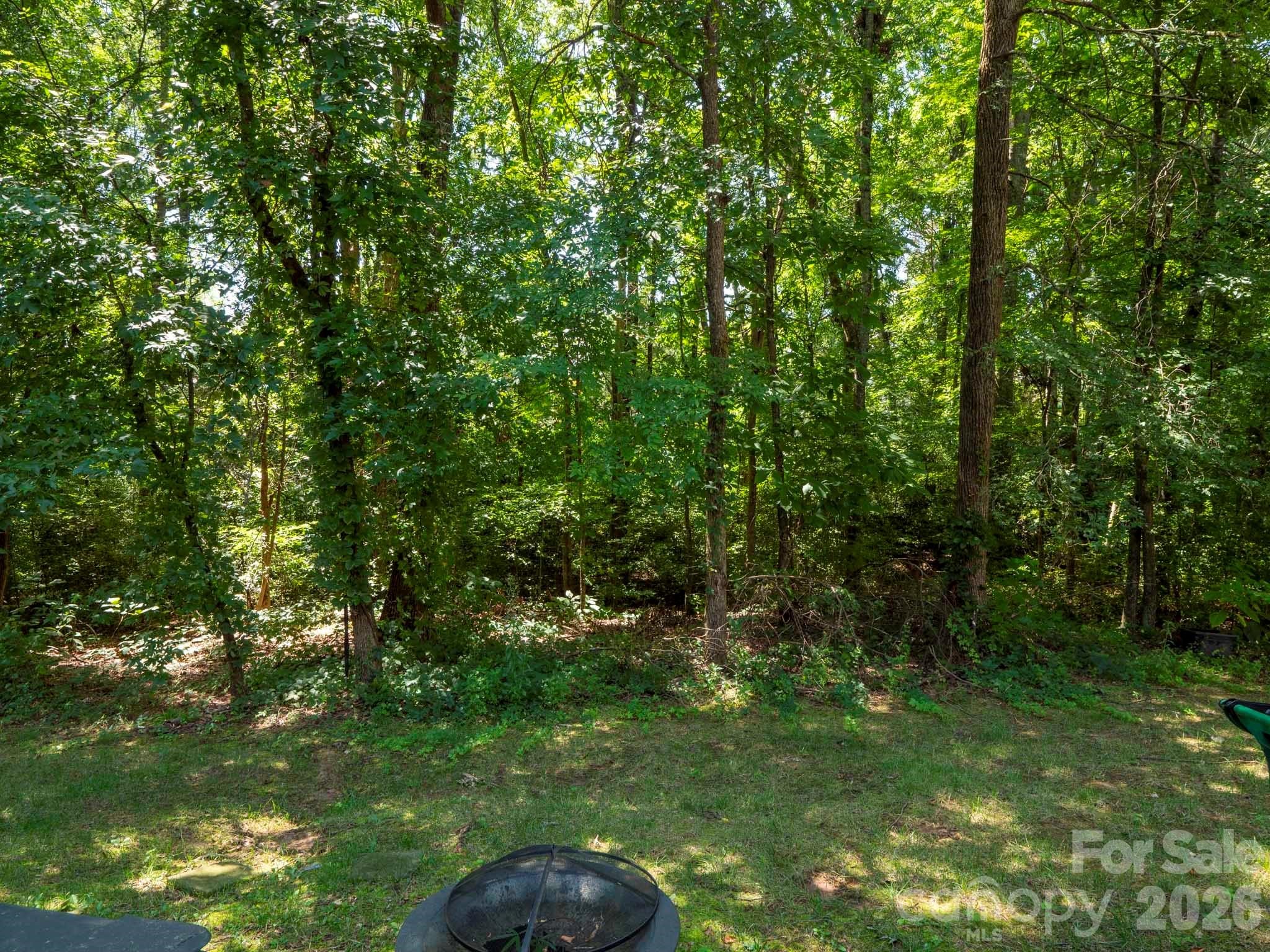 10747 Essex Hall Dr, Charlotte, NC 28277