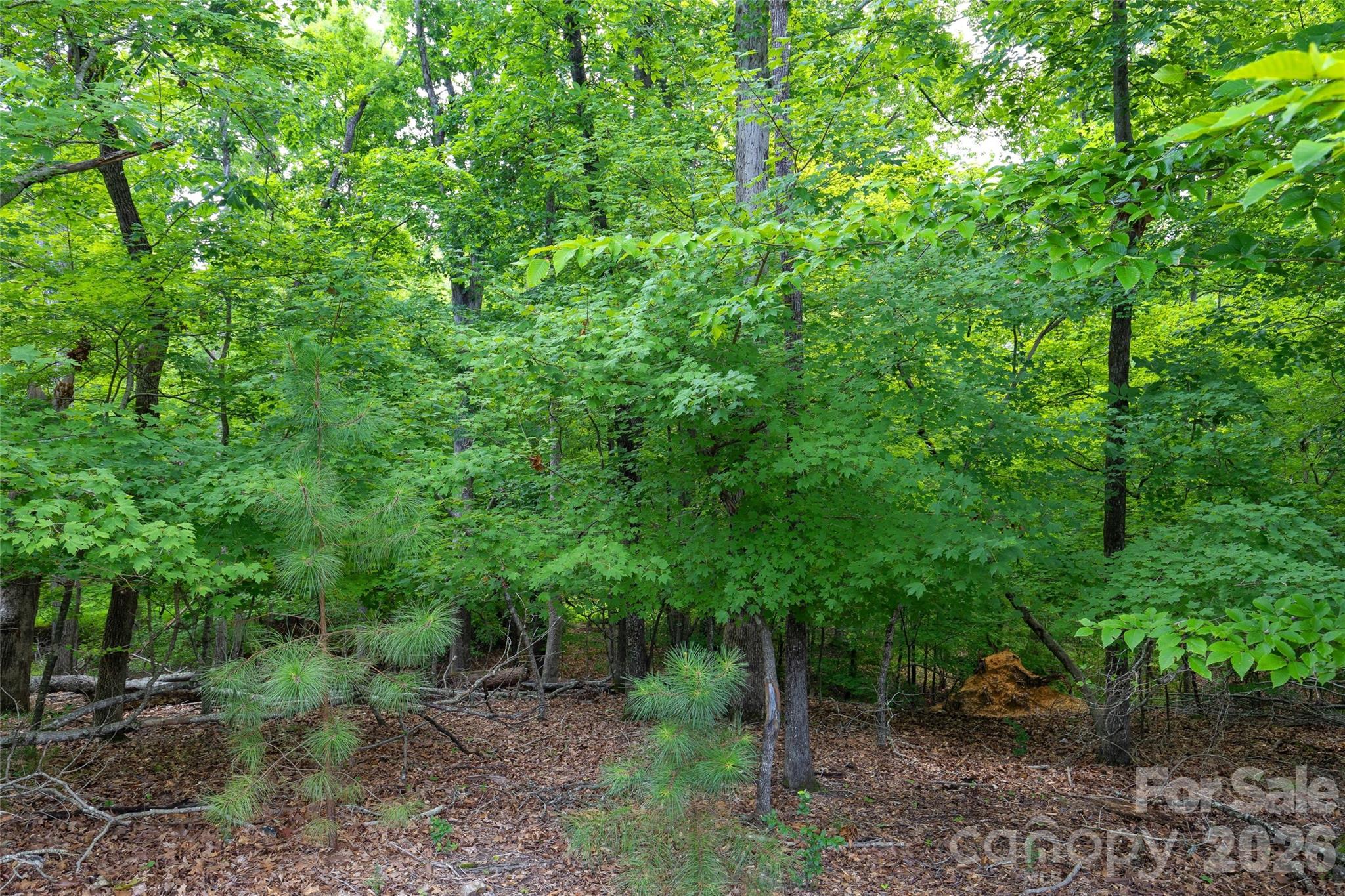 17232 Coves Edge Ln, Charlotte, NC 28278