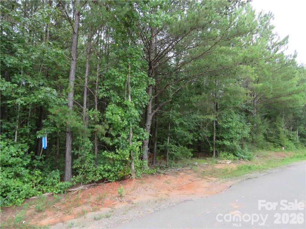 TBD Agnes Douglas Rd, Indian Land, SC 29707