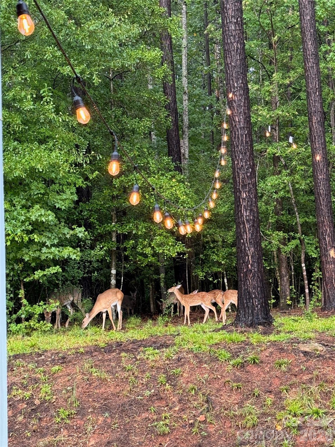 607 Winter Walk Ln, Lake Wylie, SC 29710