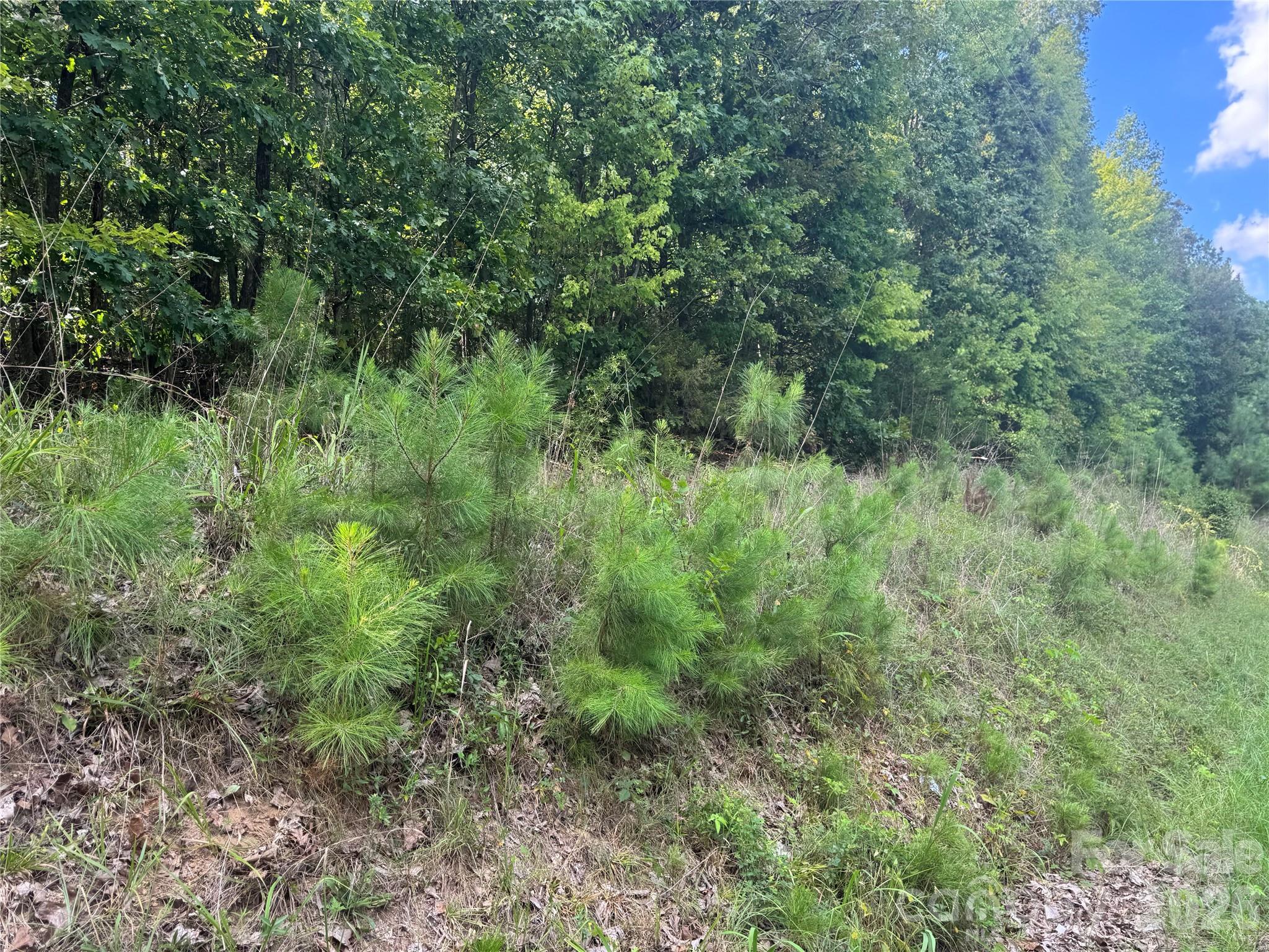 7.5 Acres Old Camden Monroe Hw, Lancaster, SC 29720