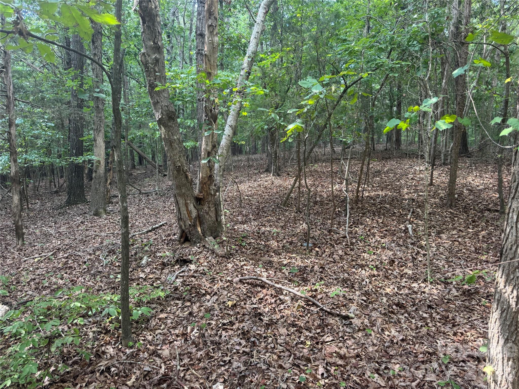 7.5 Acres Old Camden Monroe Hw, Lancaster, SC 29720