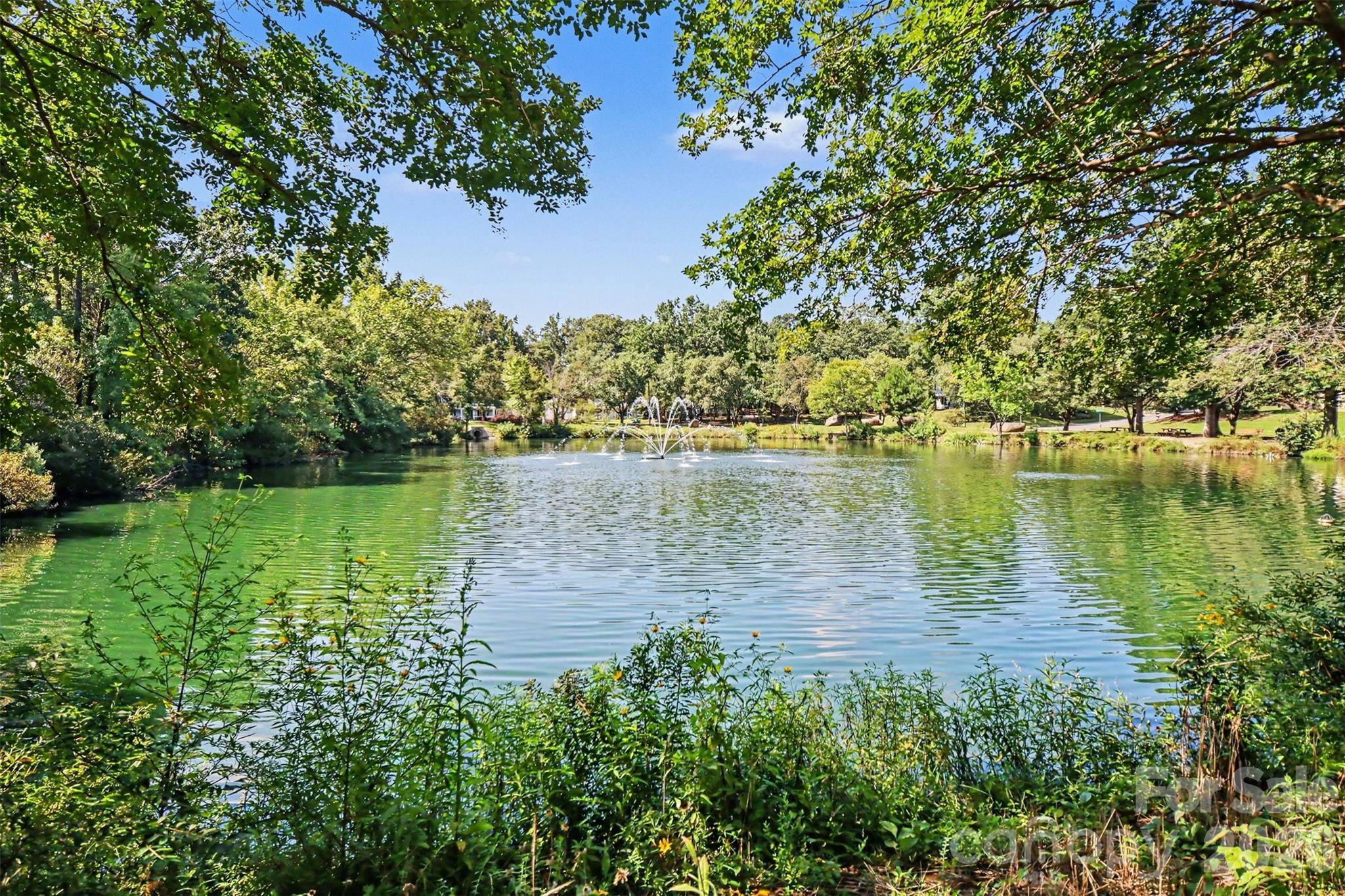 2248 Lawton Bluff Rd, Charlotte, NC 28226