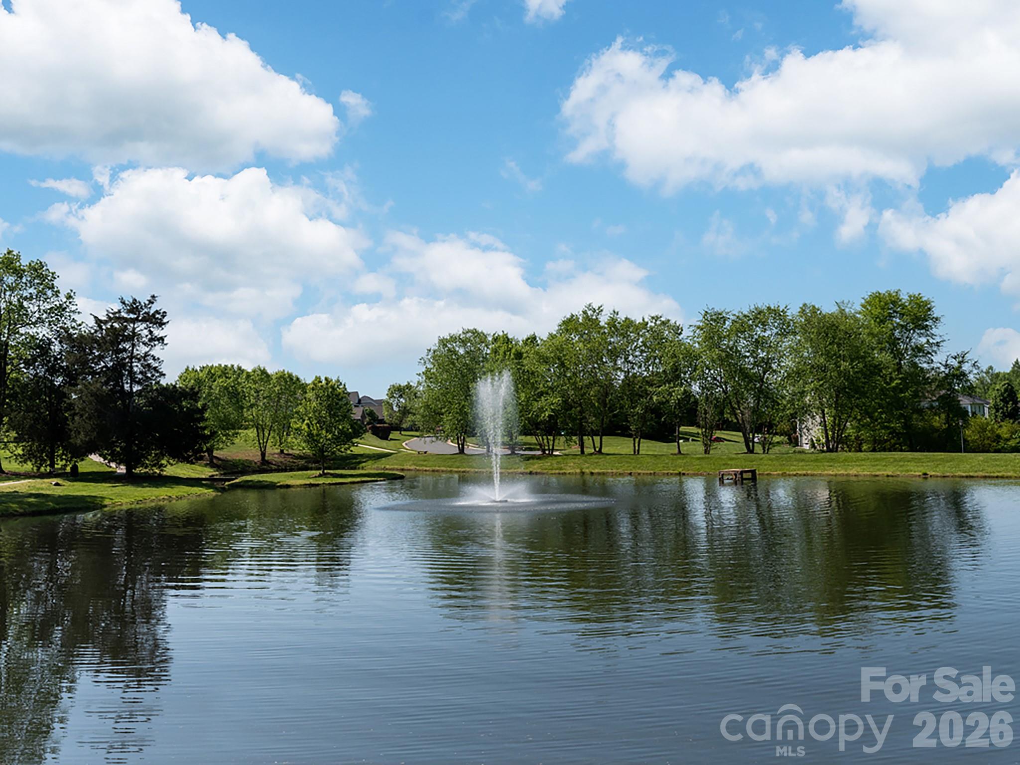 11019 King George Ln, Waxhaw, NC 28173