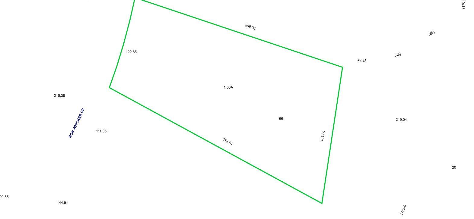 1390 Ron Whicker Dr, Catawba, NC 28609