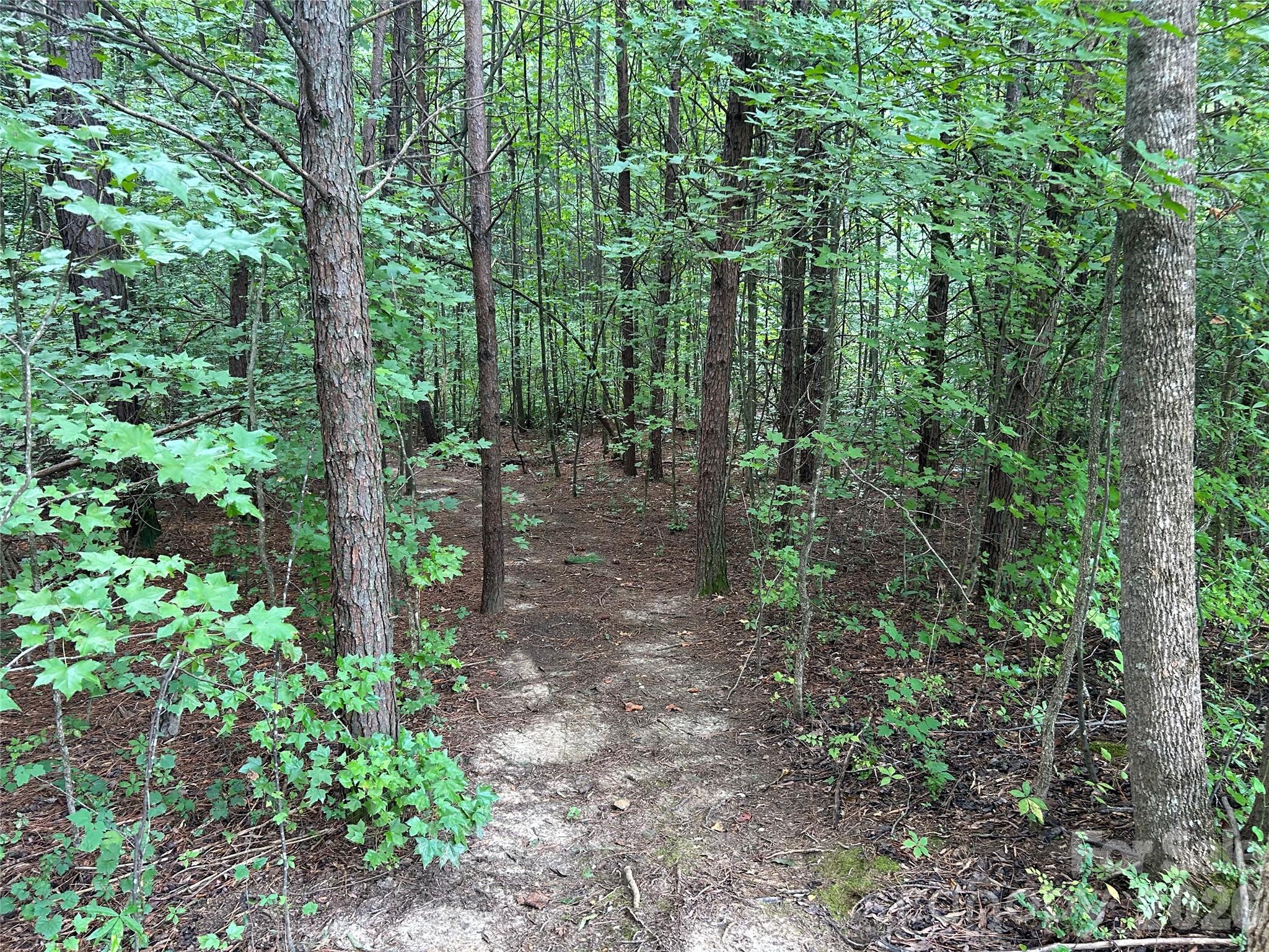 00 Old Hickory Grove Rd #C, Mount Holly, NC 28120