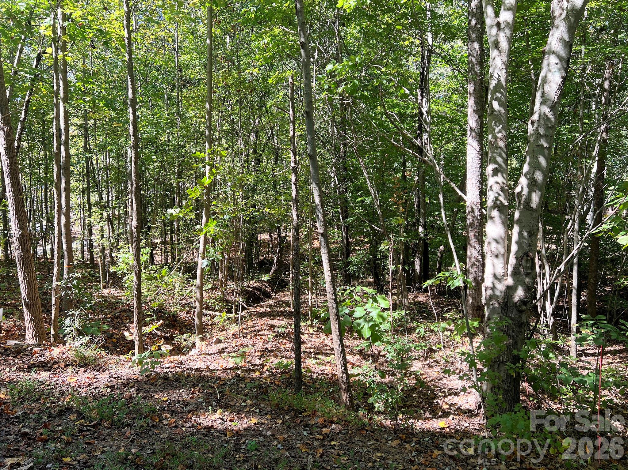 0 Nablus Dr #5, Waxhaw, NC 28173