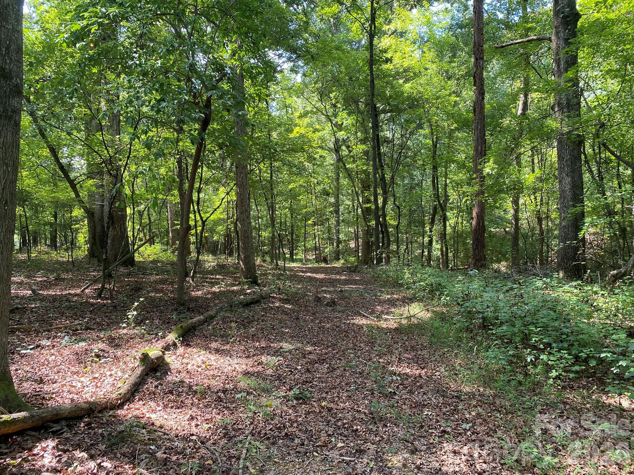 3317 Rilla Hamilton Rd, Monroe, NC 28110