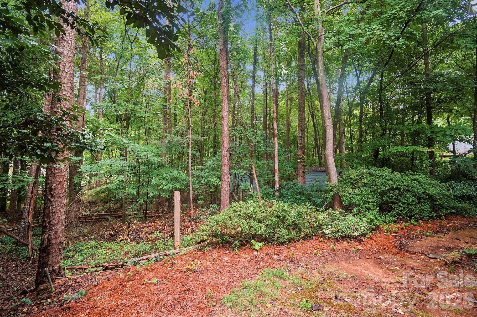 2819 Cedar Chase Dr, Matthews, NC 28105