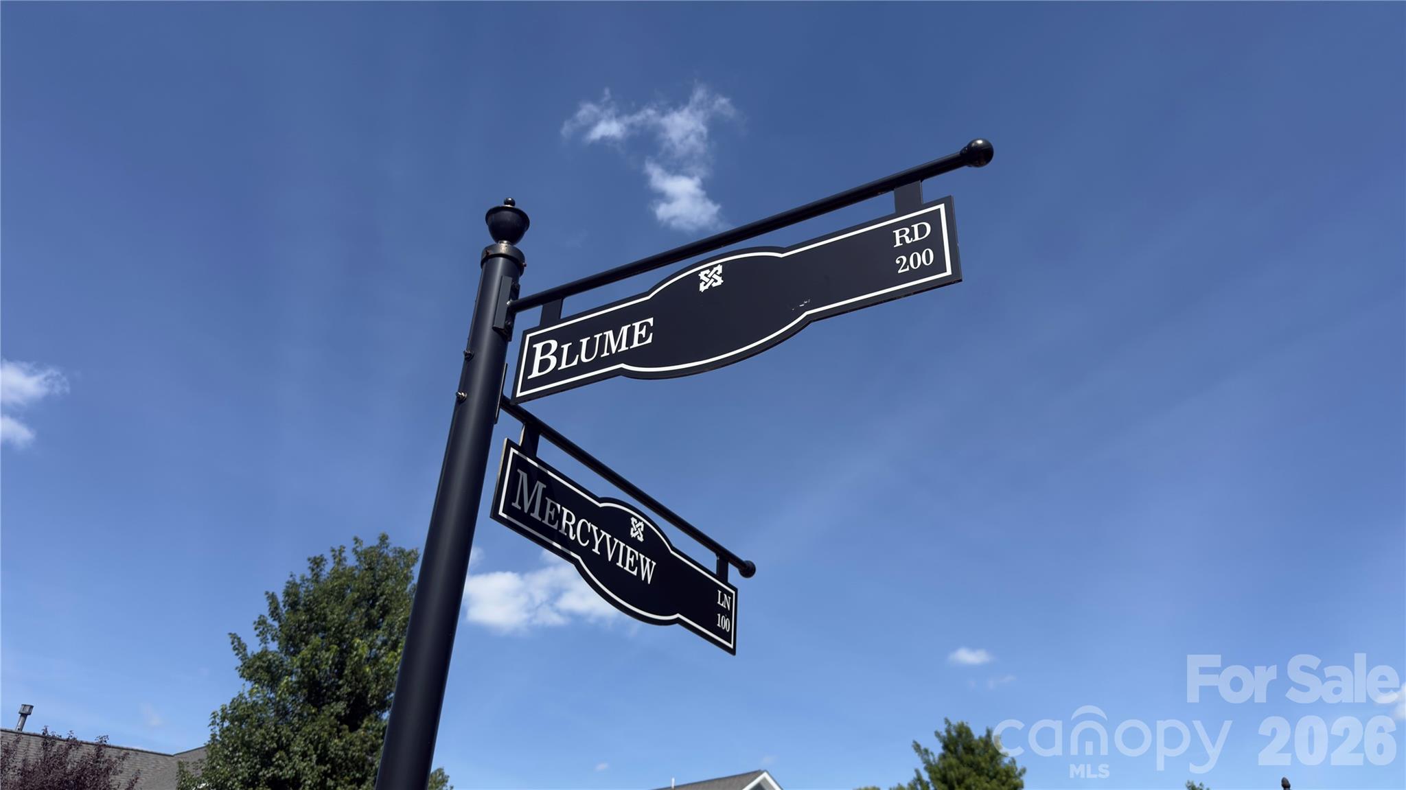 118 Mercyview Ln, Mooresville, NC 28117