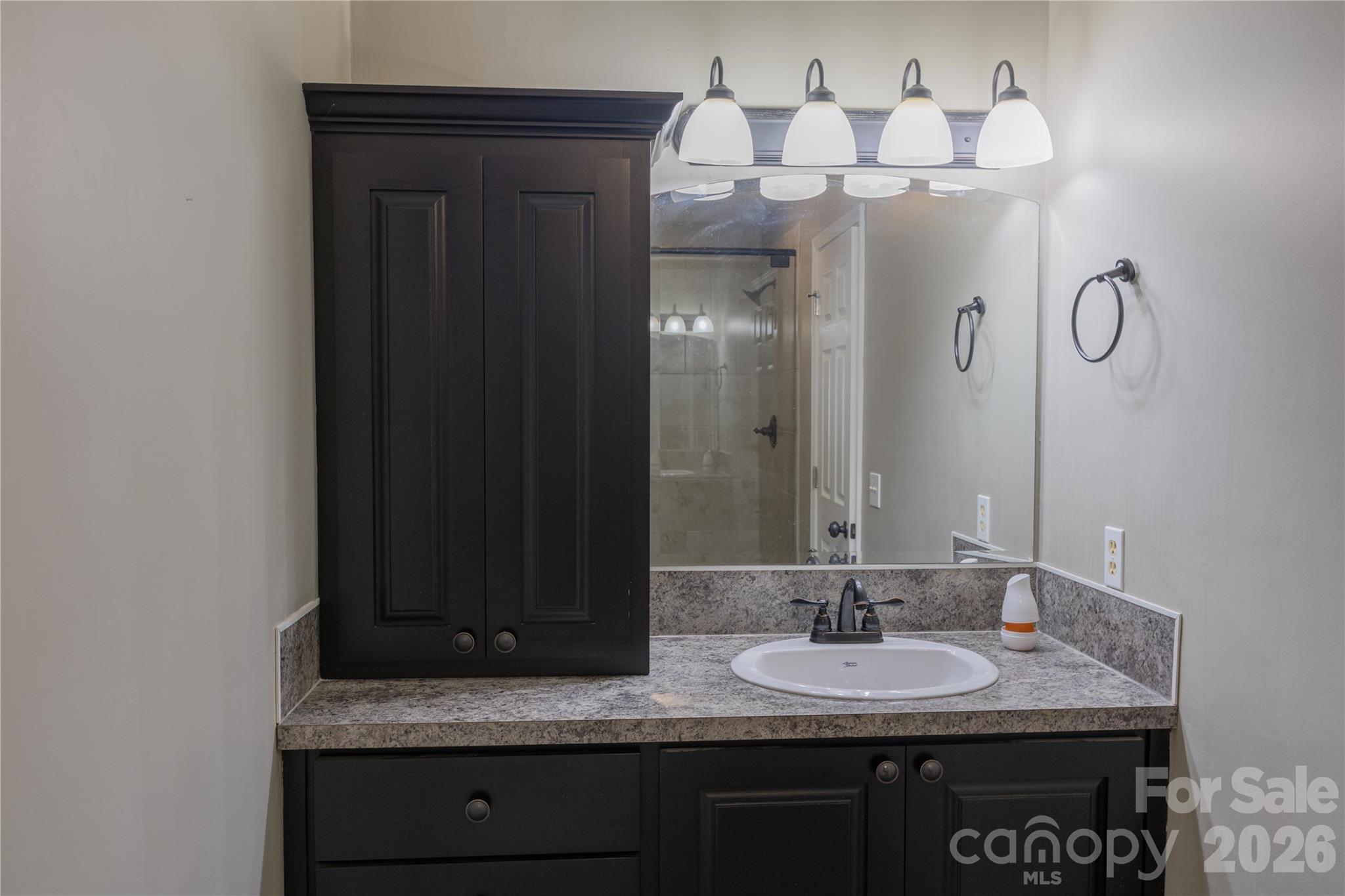 3910 English Oak Dr, Lincolnton, NC 28092