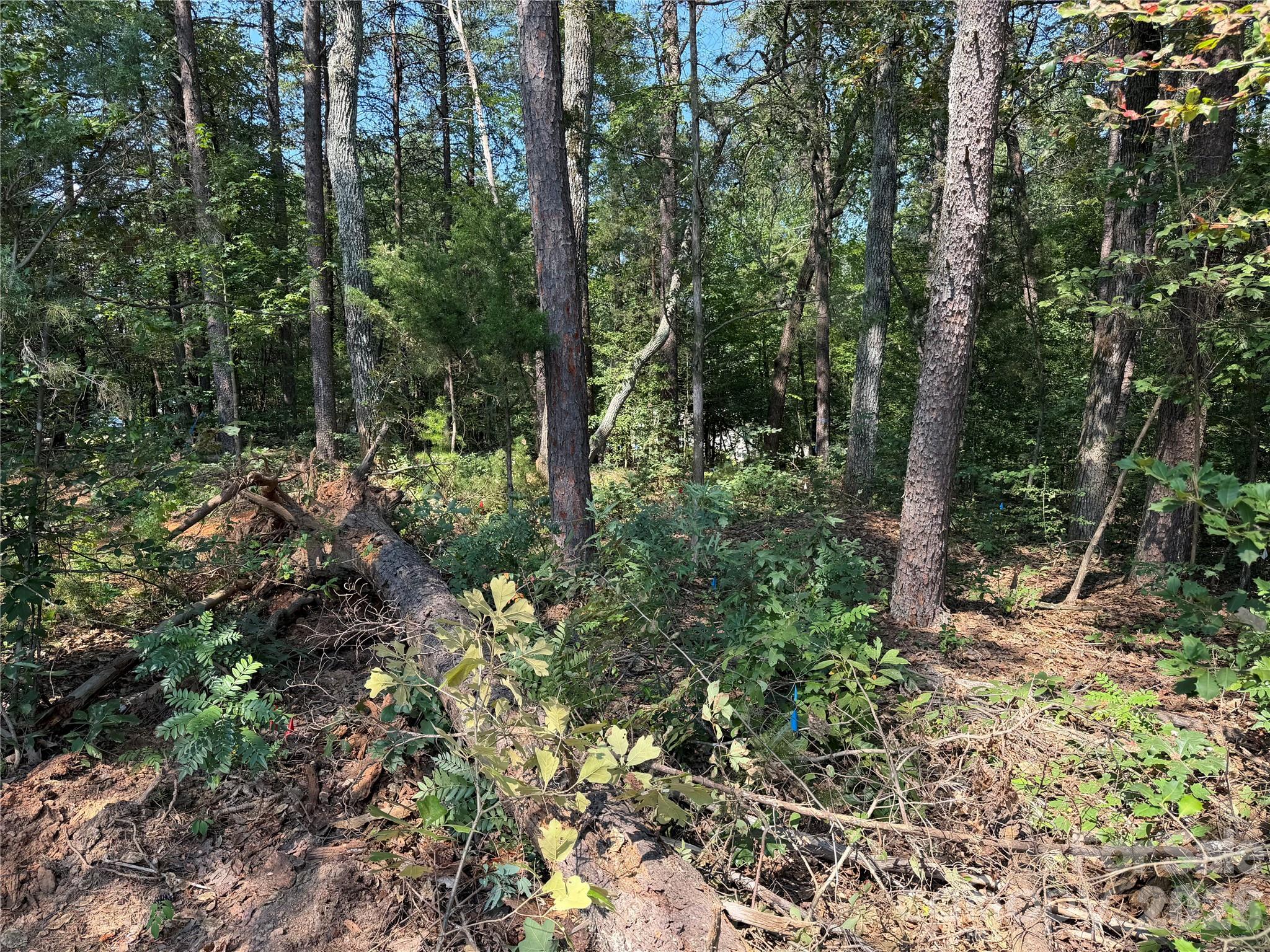 0 Katherine Dr #182, Denver, NC 28037