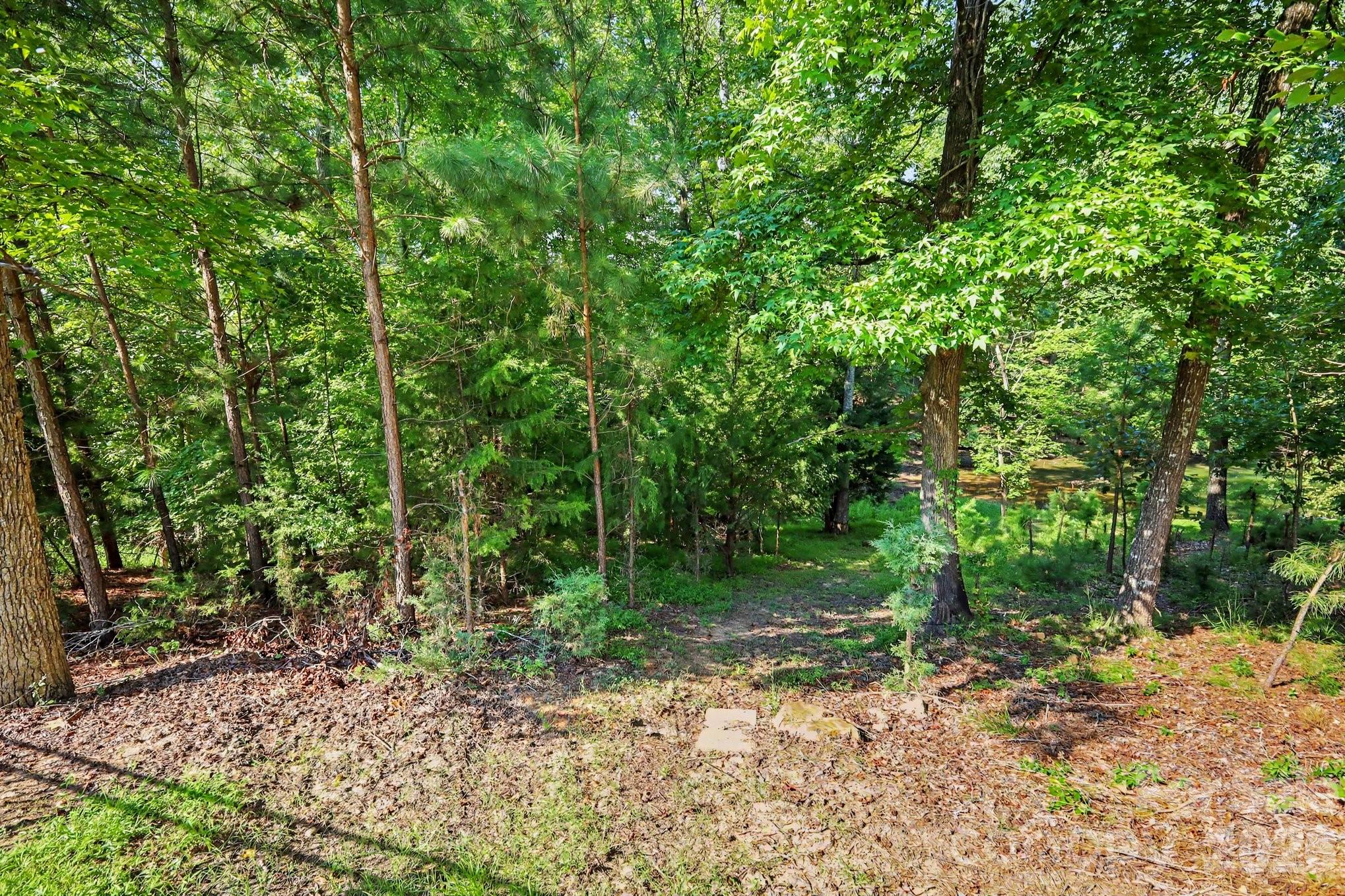 17920 Culross Ln, Charlotte, NC 28278