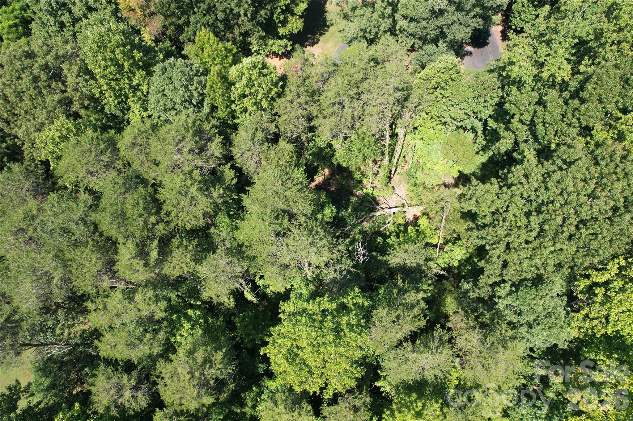 3924 Deer Run Dr NE, Conover, NC 28613