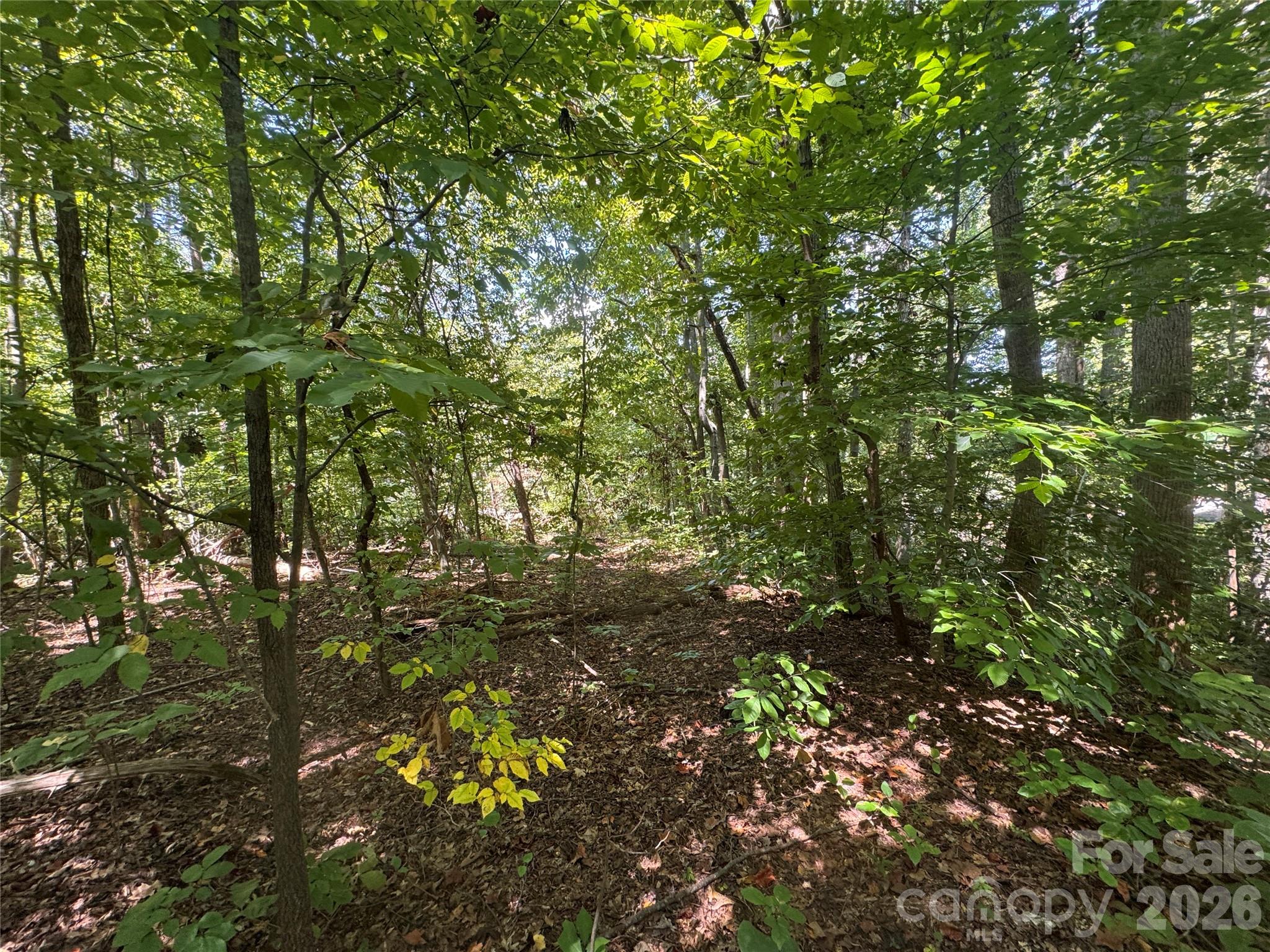 3924 Deer Run Dr NE, Conover, NC 28613