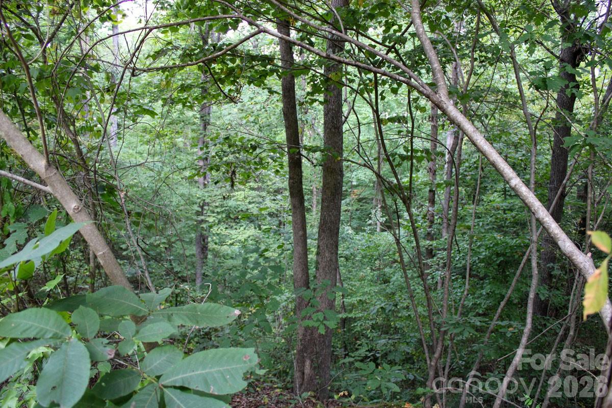 238 Bluff Ln, Salisbury, NC 28146