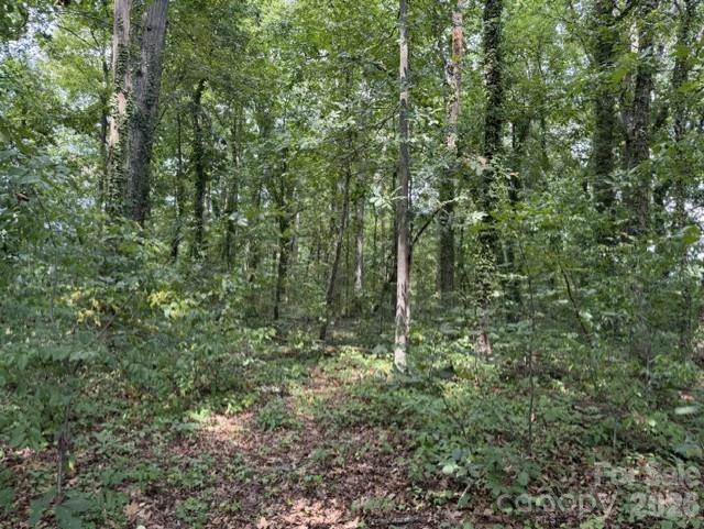 809 2nd St SE, Conover, NC 28613