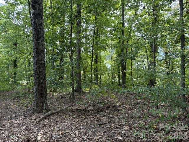 809 2nd St SE, Conover, NC 28613