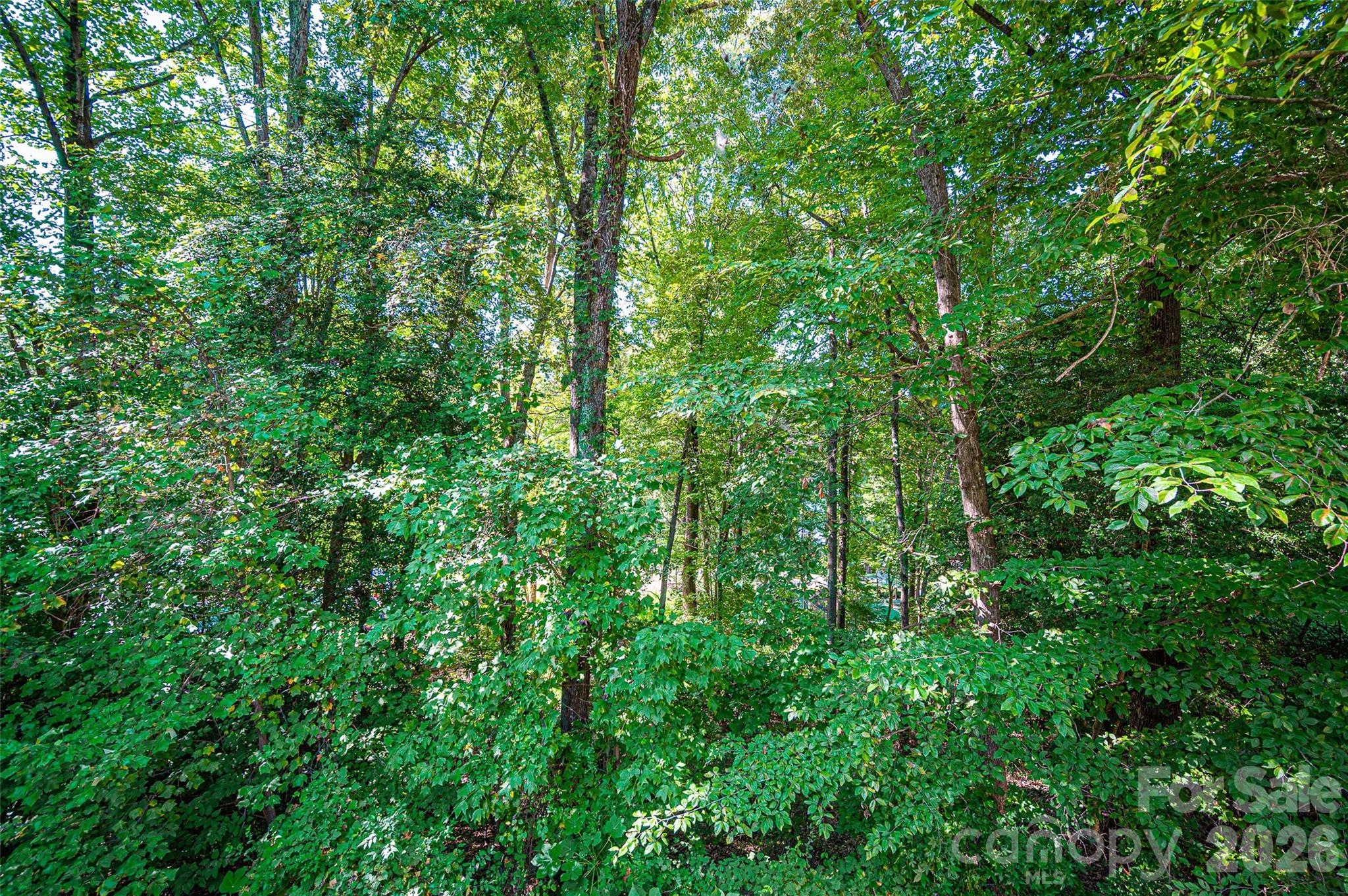 247 Spring Shore Rd, Statesville, NC 28677