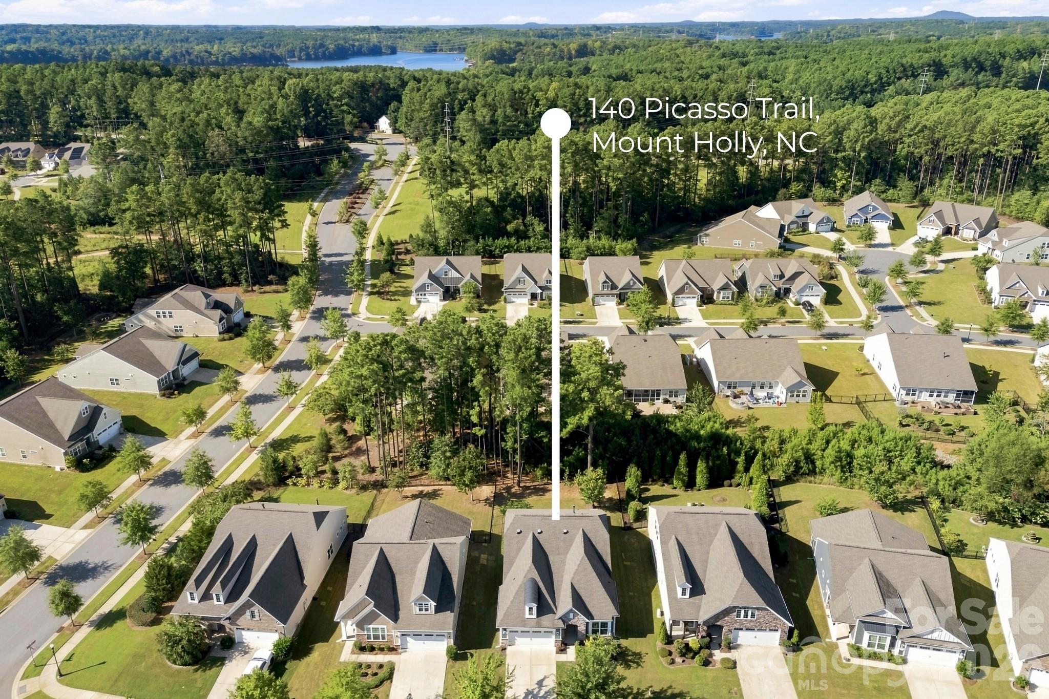 140 Picasso Trl, Mount Holly, NC 28120